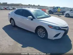 4T1G11AK4LU381202 2020 TOYOTA CAMRY