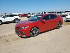 4T1G11AK4LU381717 2020 TOYOTA CAMRY