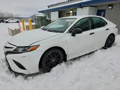 4T1G11AK4LU395276 2020 TOYOTA CAMRY