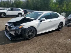 4T1G11AK4LU882459 2020 TOYOTA CAMRY