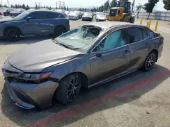 4T1G11AK4MU531021 2021 TOYOTA CAMRY