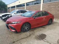 4T1G11AK4PU175190 2023 TOYOTA CAMRY