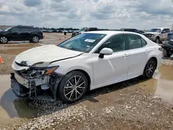 4T1G11AK4PU188411 2023 TOYOTA CAMRY