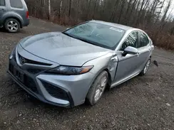 4T1G11AK4PU720501 2023 TOYOTA CAMRY