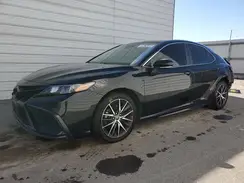 4T1G11AK4PU732566 2023 TOYOTA CAMRY