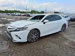 4T1G11AK4RU219451 2024 TOYOTA CAMRY