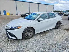 4T1G11AK4RU234953 2024 TOYOTA CAMRY