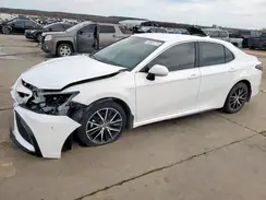 4T1G11AK4RU877822 2024 TOYOTA CAMRY