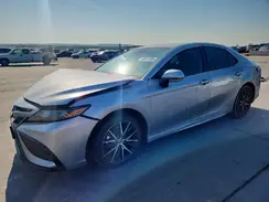 4T1G11AK4RU888416 2024 TOYOTA CAMRY