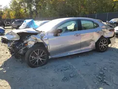 4T1G11AK4RU897021 2024 TOYOTA CAMRY