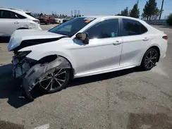 4T1G11AK5LU335183 2020 TOYOTA CAMRY