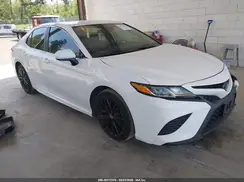 4T1G11AK5LU366059 2020 TOYOTA CAMRY
