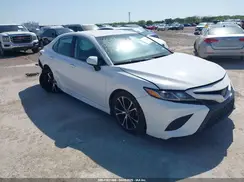 4T1G11AK5LU930924 2020 TOYOTA CAMRY