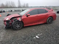 4T1G11AK5MU432885 2021 TOYOTA CAMRY