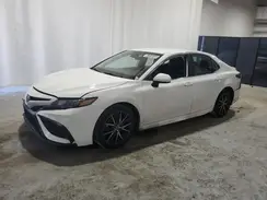 4T1G11AK5MU593186 2021 TOYOTA CAMRY