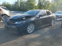4T1G11AK5PU141341 2023 TOYOTA CAMRY