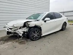 4T1G11AK5PU764698 2023 TOYOTA CAMRY