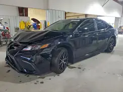 4T1G11AK5RU189196 2024 TOYOTA CAMRY