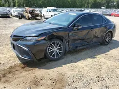 4T1G11AK5RU204697 2024 TOYOTA CAMRY