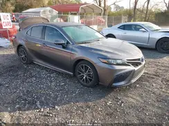 4T1G11AK5RU883502 2024 TOYOTA CAMRY