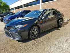 4T1G11AK5RU888957 2024 TOYOTA CAMRY