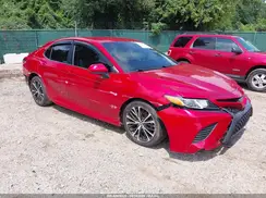 4T1G11AK6LU313192 2020 TOYOTA CAMRY