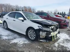 4T1G11AK6LU376132 2020 TOYOTA CAMRY