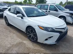 4T1G11AK6LU504207 2020 TOYOTA CAMRY