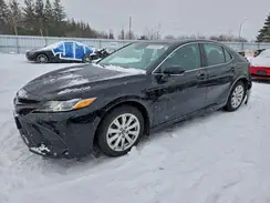 4T1G11AK6LU908477 2020 TOYOTA CAMRY