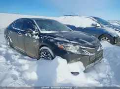4T1G11AK6LU980425 2020 TOYOTA CAMRY