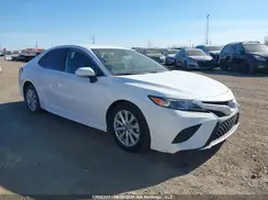 4T1G11AK6LU983552 2020 TOYOTA CAMRY