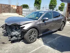 4T1G11AK6MU596307 2021 TOYOTA CAMRY