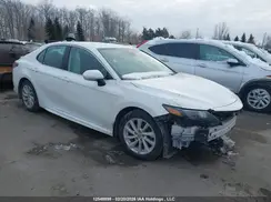 4T1G11AK6PU142174 2023 TOYOTA CAMRY