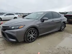 4T1G11AK6PU743827 2023 TOYOTA CAMRY