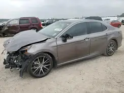 4T1G11AK6RU218253 2024 TOYOTA CAMRY