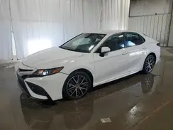 4T1G11AK6RU239295 2024 TOYOTA CAMRY