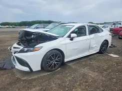 4T1G11AK6RU251608 2024 TOYOTA CAMRY
