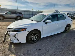 4T1G11AK6RU836230 2024 TOYOTA CAMRY