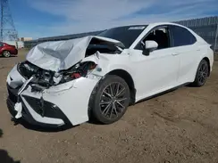 4T1G11AK6RU872525 2024 TOYOTA CAMRY