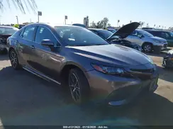 4T1G11AK6RU880964 2024 TOYOTA CAMRY