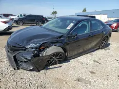 4T1G11AK6RU889714 2024 TOYOTA CAMRY