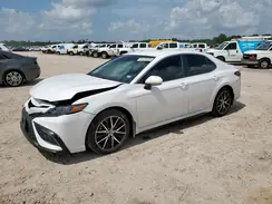 4T1G11AK6RU897229 2024 TOYOTA CAMRY