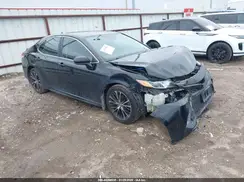 4T1G11AK7LU335556 2020 TOYOTA CAMRY