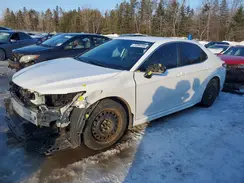 4T1G11AK7LU881564 2020 TOYOTA CAMRY
