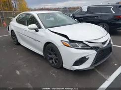 4T1G11AK7LU915776 2020 TOYOTA CAMRY