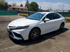 4T1G11AK7MU447453 2021 TOYOTA CAMRY