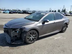 4T1G11AK7MU592167 2021 TOYOTA CAMRY