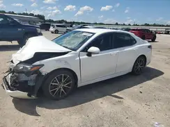 4T1G11AK7PU119020 2023 TOYOTA CAMRY