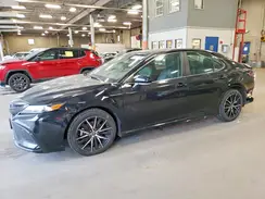 4T1G11AK7PU730570 2023 TOYOTA CAMRY