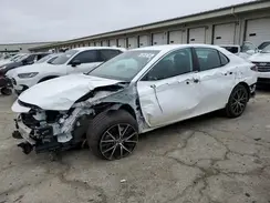4T1G11AK7RU191905 2024 TOYOTA CAMRY